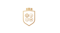 Официальный сайт Балашихинской единой школьной спортивной лиги